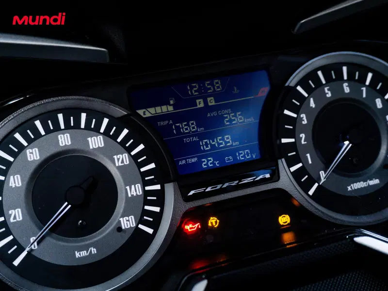 Honda Forza 300 (2019 - 20) (11)