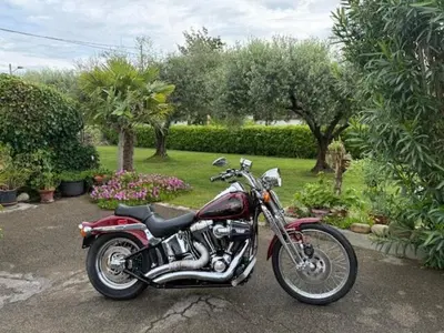 Harley-Davidson 1450 Springer (2001 - 03) - FXSTS usata