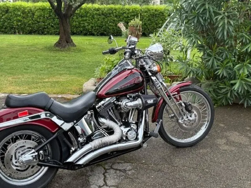 Harley-Davidson 1450 Springer (2001 - 03) - FXSTS (2)