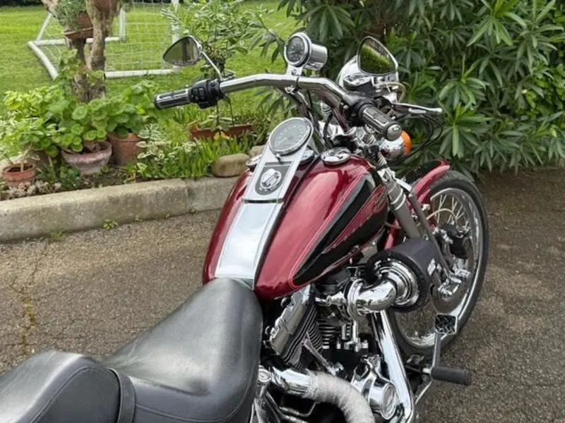 Harley-Davidson 1450 Springer (2001 - 03) - FXSTS (3)