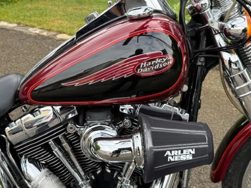 Harley-Davidson 1450 Springer (2001 - 03) - FXSTS (5)