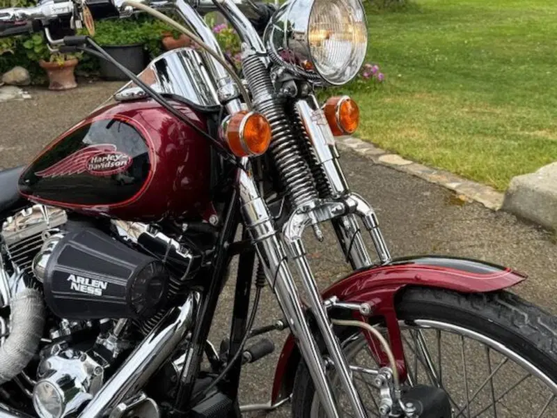 Harley-Davidson 1450 Springer (2001 - 03) - FXSTS (6)