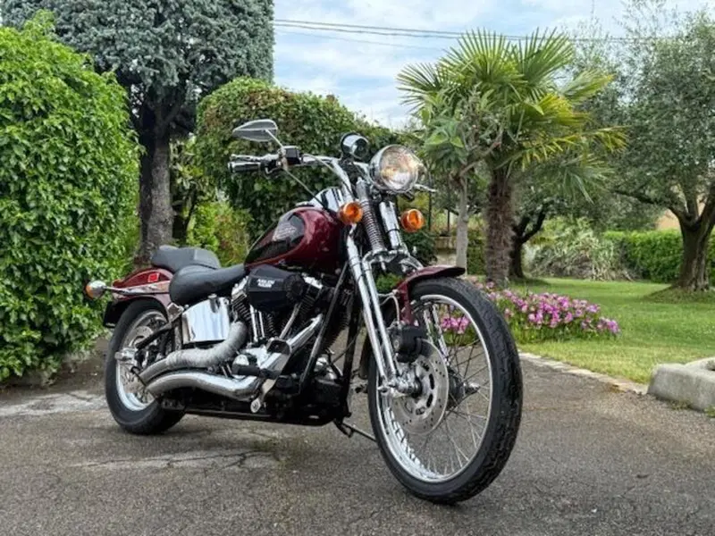 Harley-Davidson 1450 Springer (2001 - 03) - FXSTS (7)