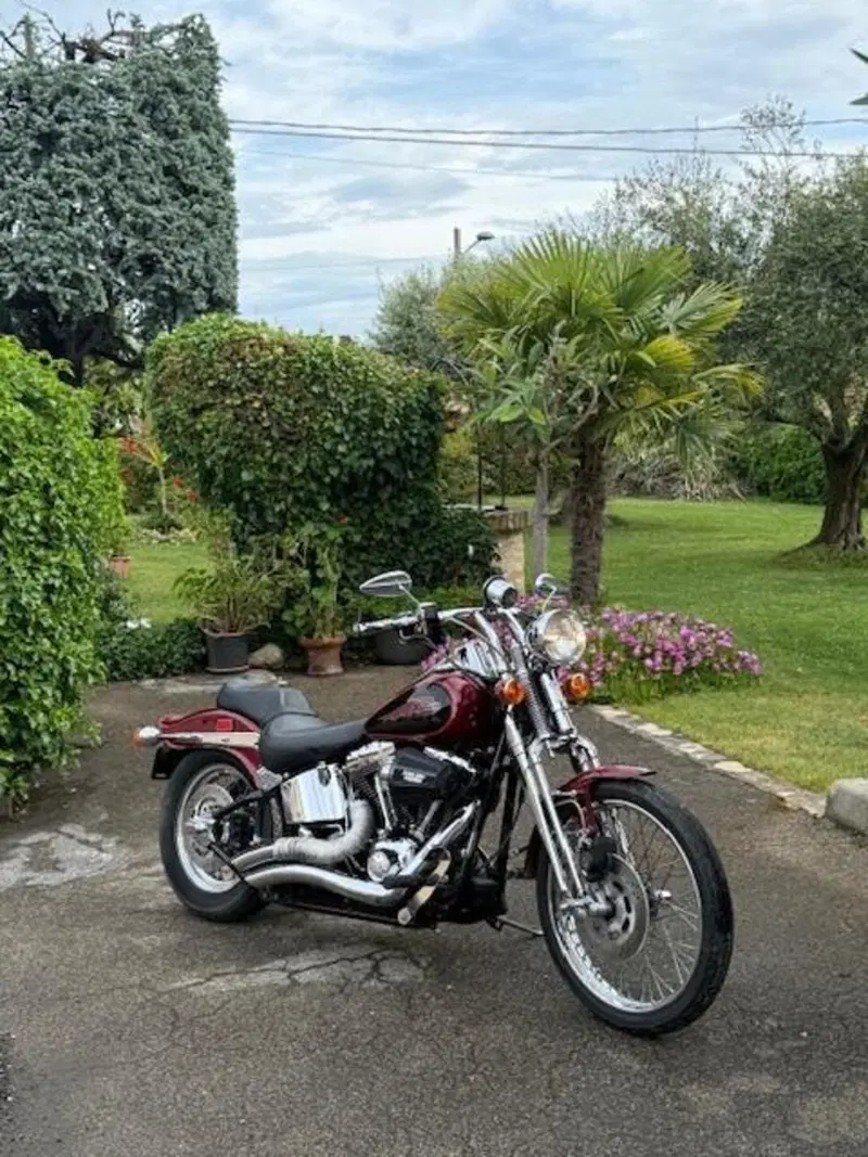 Harley-Davidson 1450 Springer (2001 - 03) - FXSTS (8)