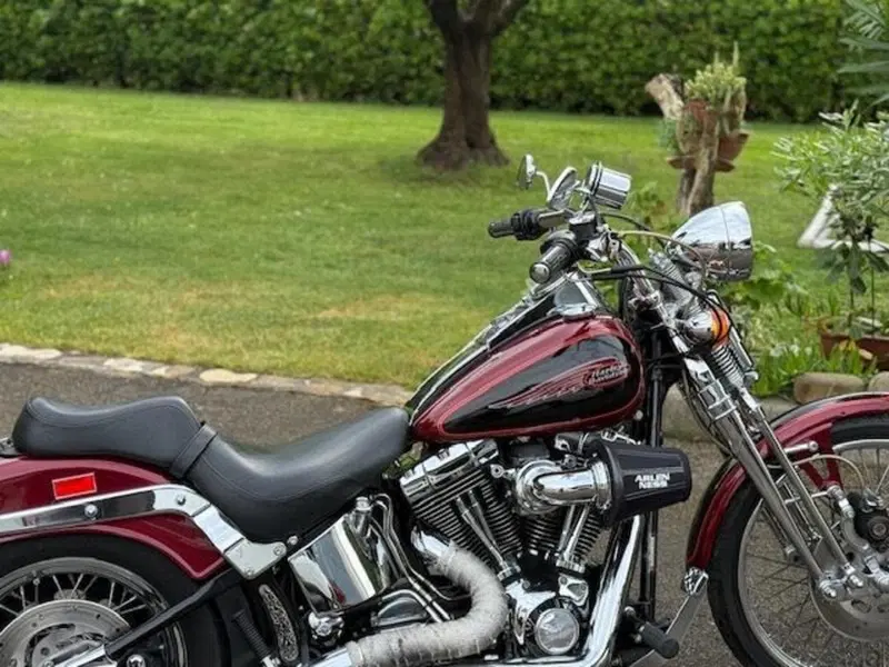 Harley-Davidson 1450 Springer (2001 - 03) - FXSTS (10)