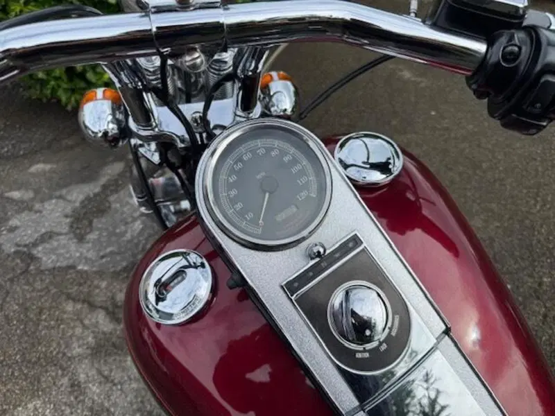 Harley-Davidson 1450 Springer (2001 - 03) - FXSTS (11)