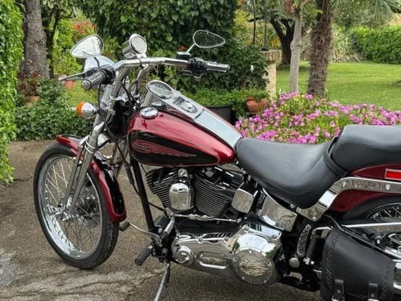 Harley-Davidson 1450 Springer (2001 - 03) - FXSTS (12)