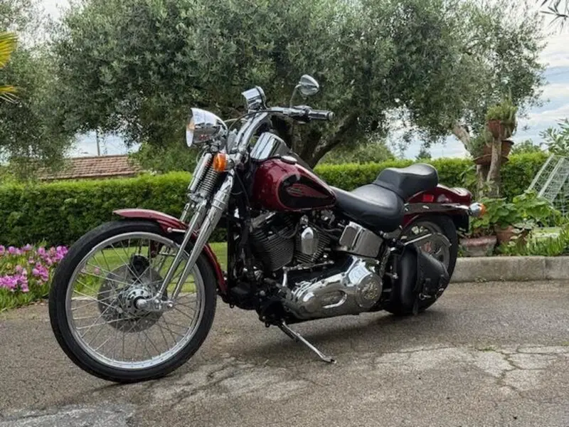 Harley-Davidson 1450 Springer (2001 - 03) - FXSTS (13)