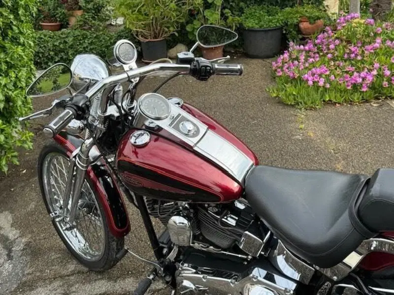 Harley-Davidson 1450 Springer (2001 - 03) - FXSTS (14)