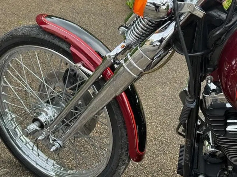 Harley-Davidson 1450 Springer (2001 - 03) - FXSTS (16)