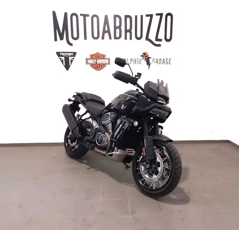Harley-Davidson Pan America 1250 Special (2020 - 25) (3)