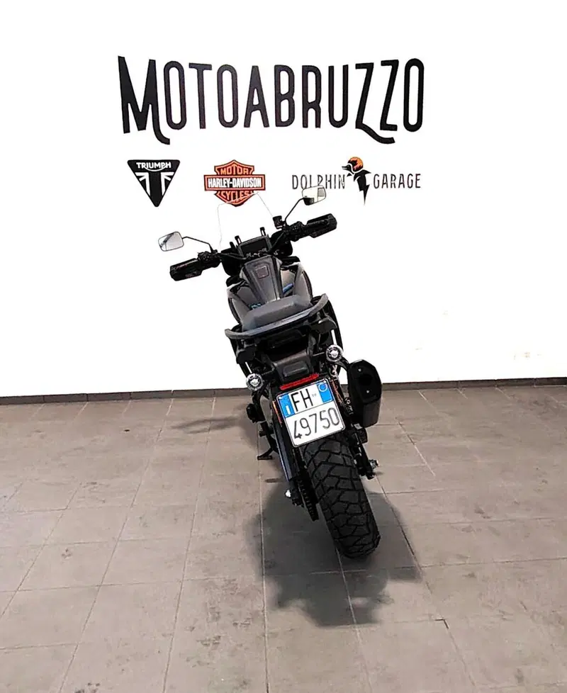 Harley-Davidson Pan America 1250 Special (2020 - 25) (7)