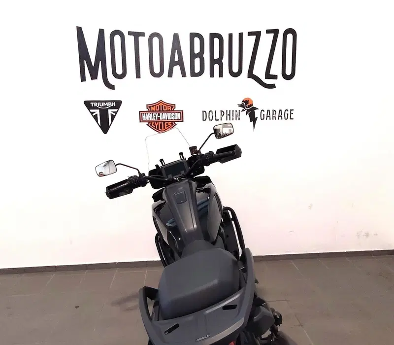 Harley-Davidson Pan America 1250 Special (2020 - 25) (8)