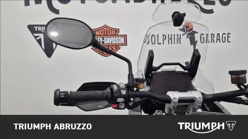 Triumph Tiger 1200 GT Pro (2024 - 26) (5)