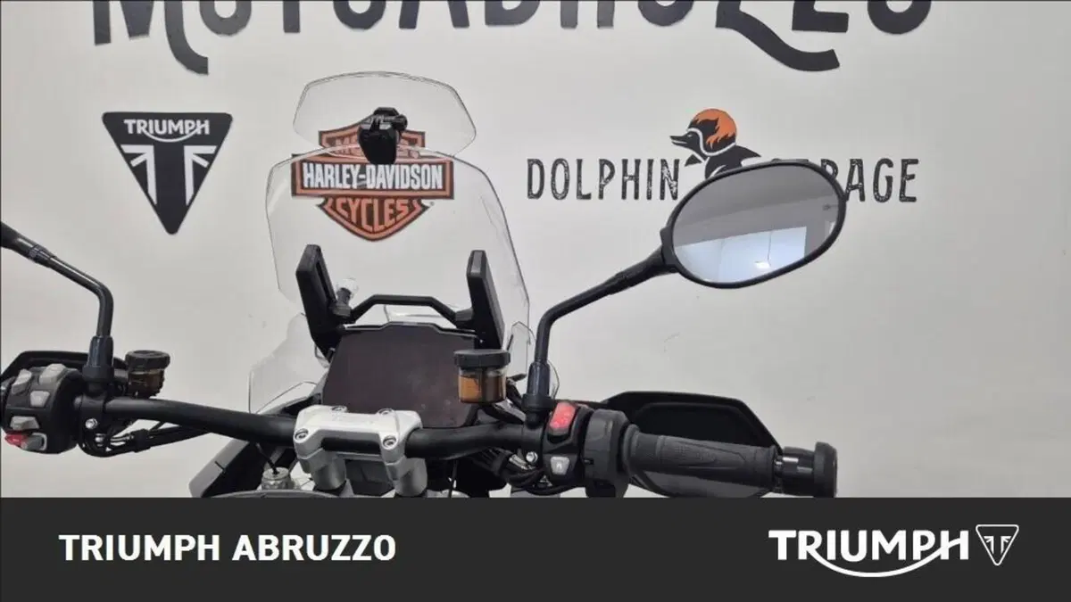 Triumph Tiger 1200 GT Pro (2024 - 26) (6)