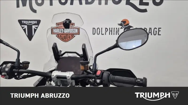 Triumph Tiger 1200 GT Pro (2024 - 26) (6)