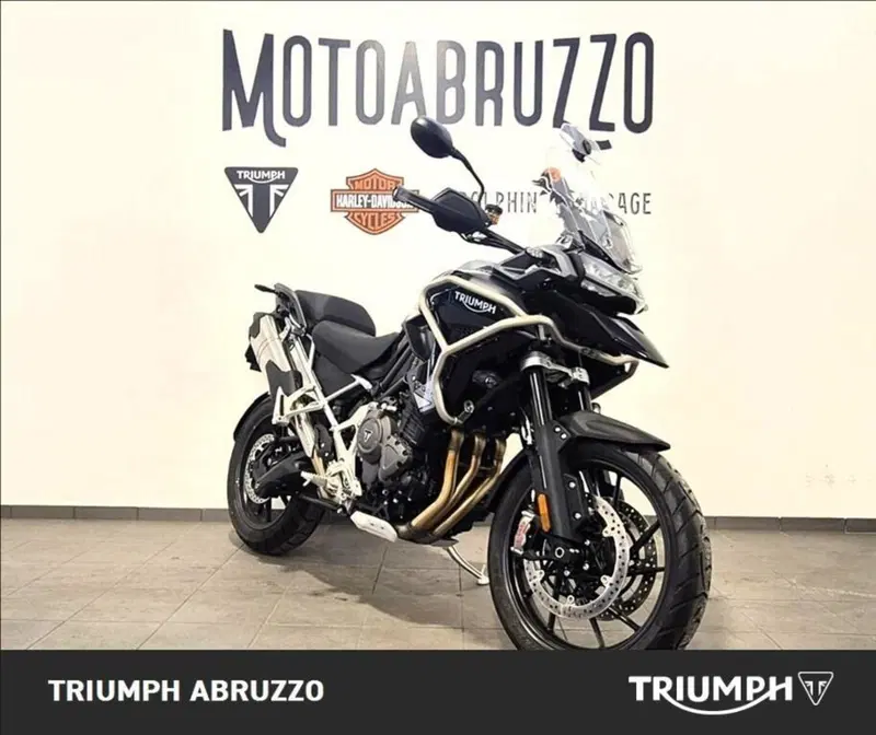 Triumph Tiger 1200 GT Pro (2024 - 26) (11)