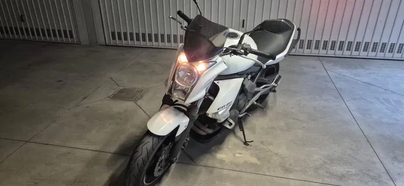 Kawasaki ER-6N (2009 - 11) (4)