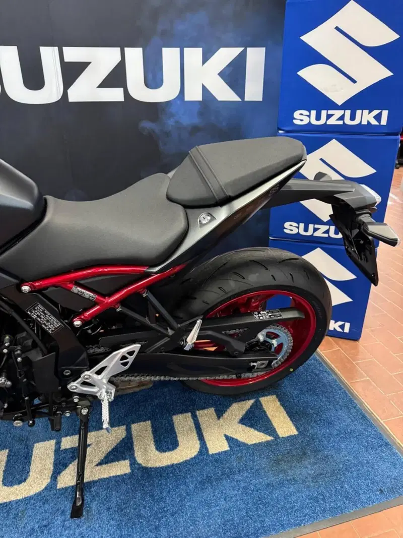 Suzuki GSX-8S (2025 - 26) (17)