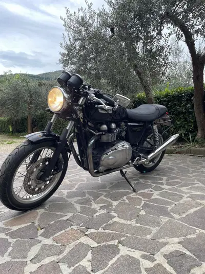 Triumph Thruxton 900 (2004 - 15) usata