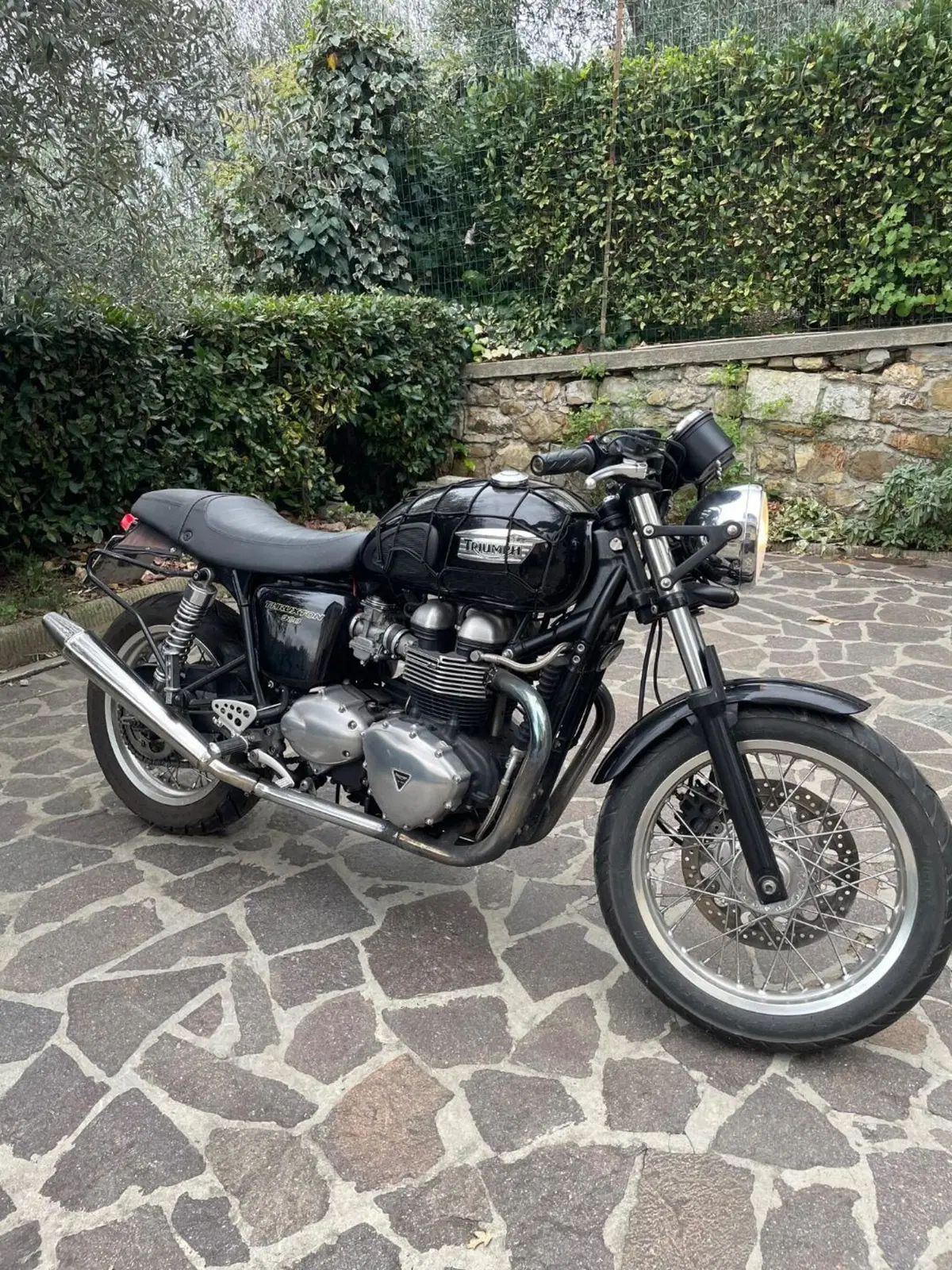 Triumph Thruxton 900 (2004 - 15) (2)