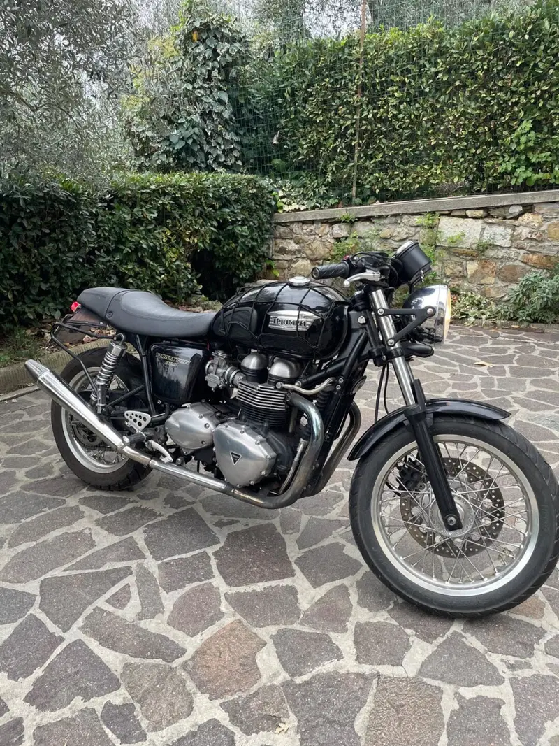 Triumph Thruxton 900 (2004 - 15) (2)