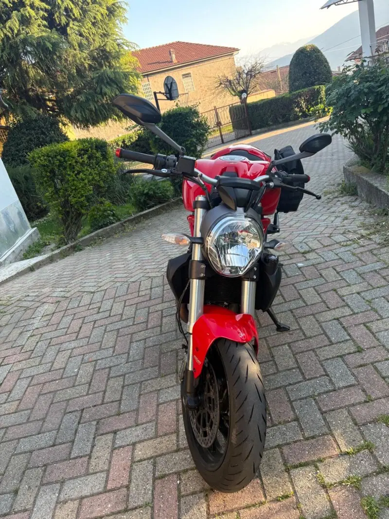 Ducati Monster 821 ABS (2014 - 17) (2)
