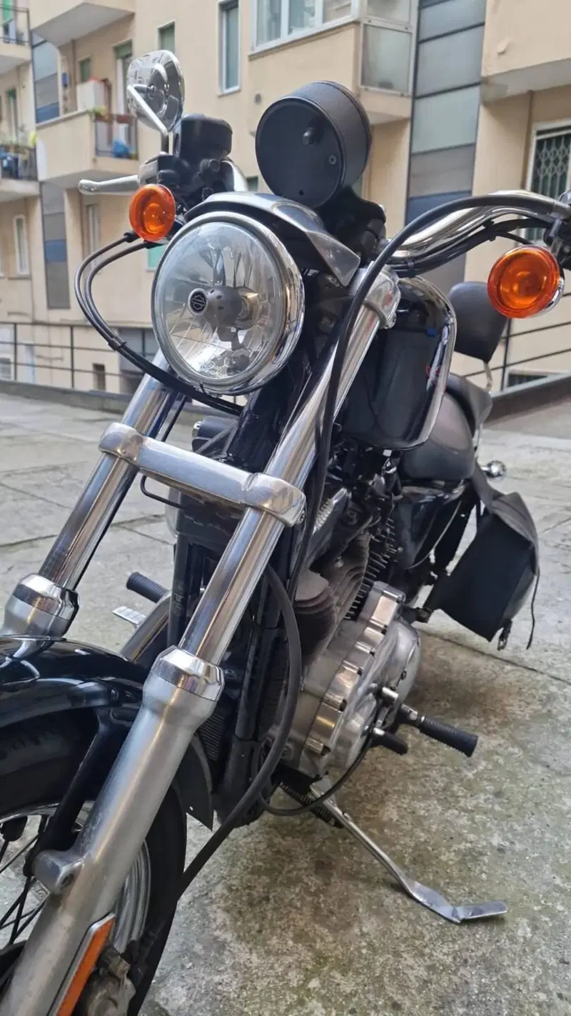 Harley-Davidson 883 (2006 - 07) - XL (4)