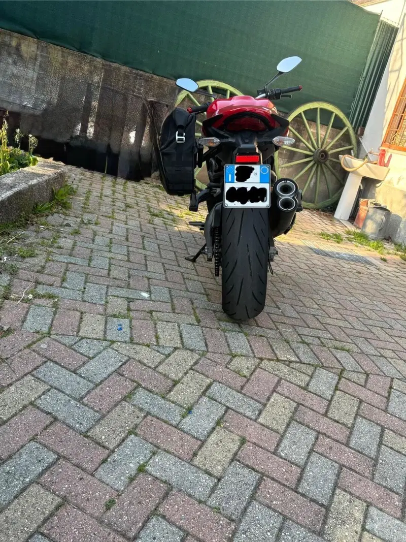 Ducati Monster 821 ABS (2014 - 17) (6)