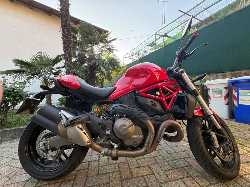 Ducati Monster 821 ABS (2014 - 17) (7)