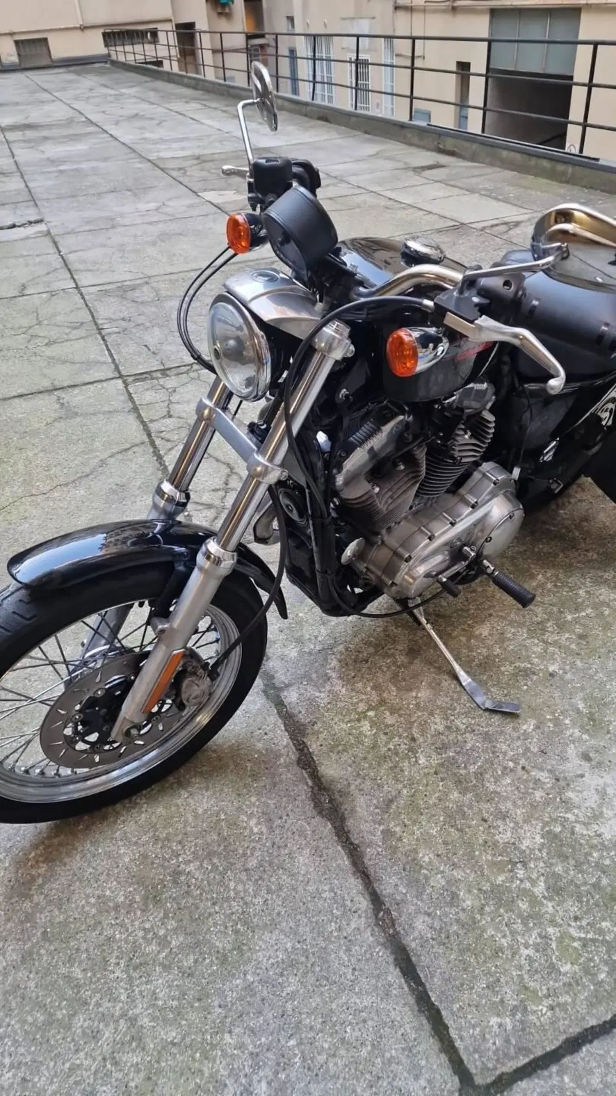 Harley-Davidson 883 (2006 - 07) - XL (7)