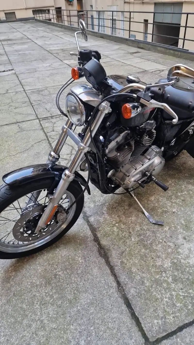 Harley-Davidson 883 (2006 - 07) - XL (7)