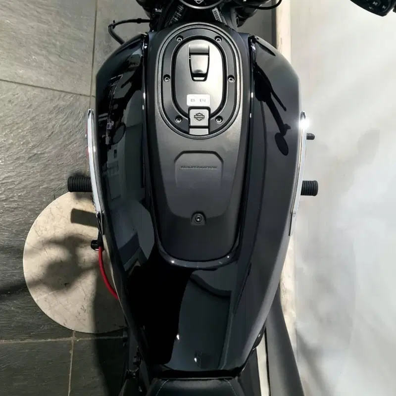 Harley-Davidson Sportster S (2025 - 26) (6)
