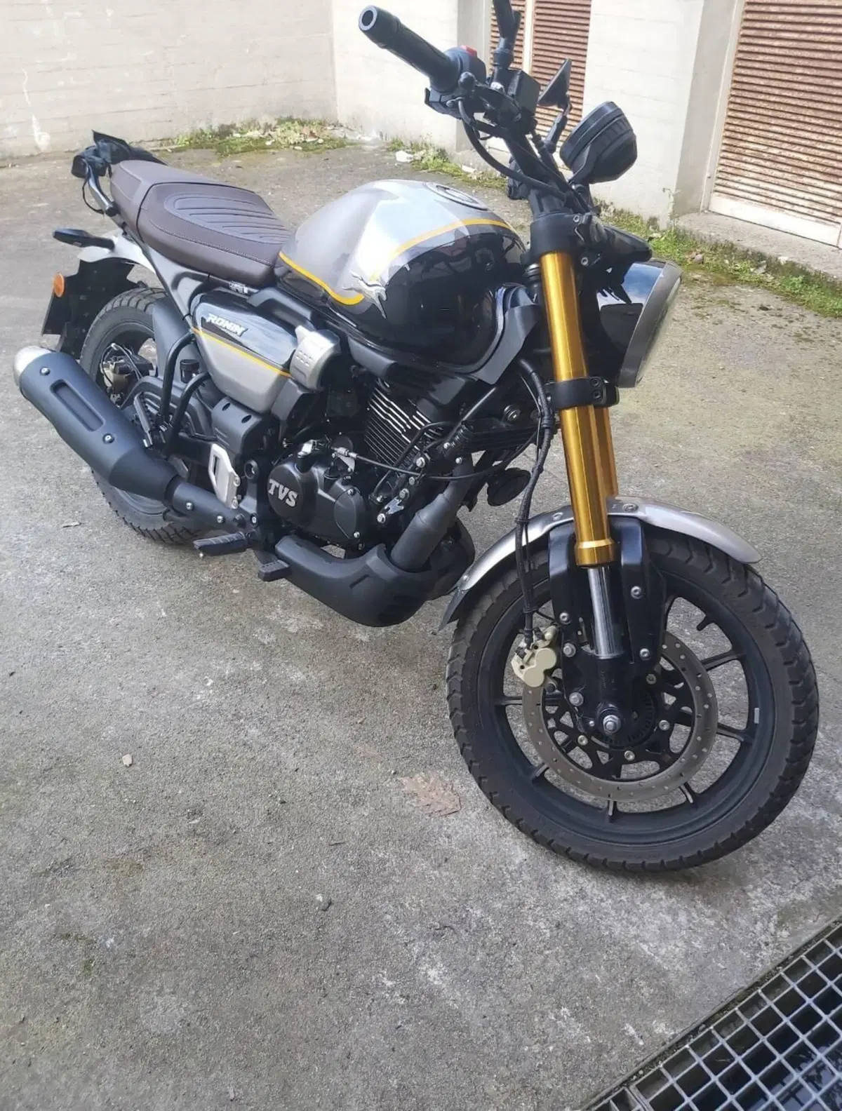 TVS Motor Ronin 250 (2024 - 26)