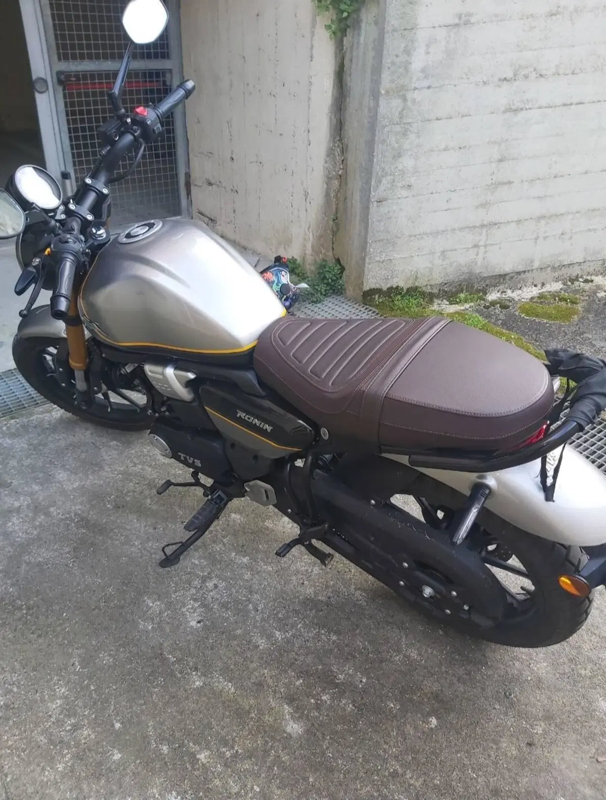 TVS Motor Ronin 250 (2024 - 26) (3)