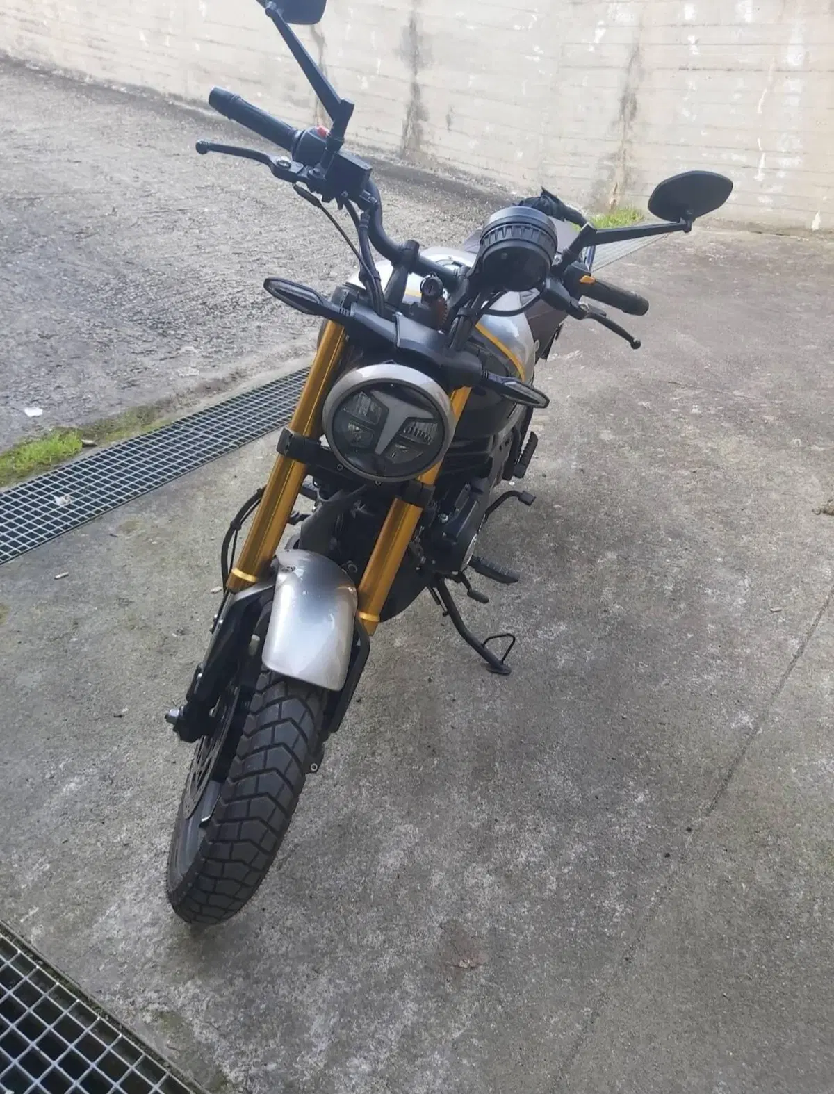 TVS Motor Ronin 250 (2024 - 26) (4)