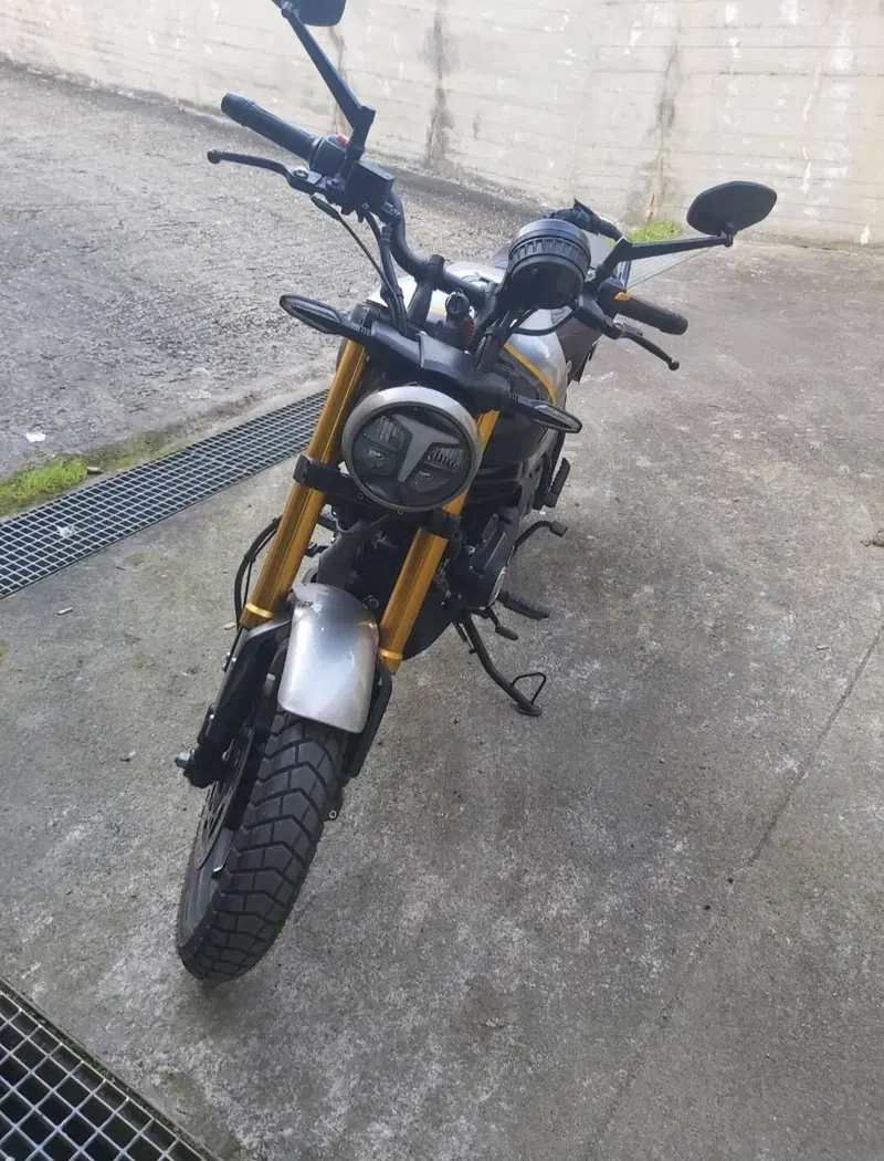 TVS Motor Ronin 250 (2024 - 26) (4)