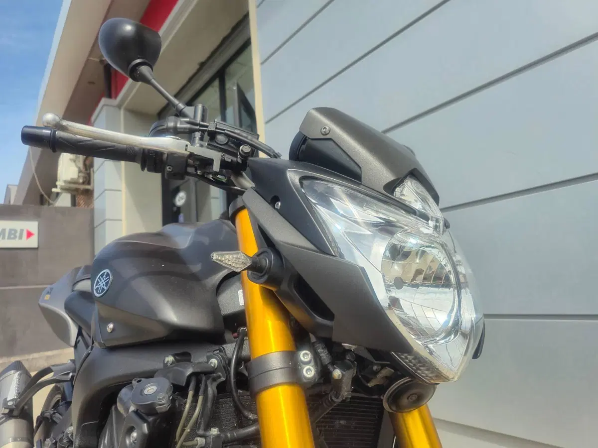 Yamaha FZ8 (2013 - 16) (3)