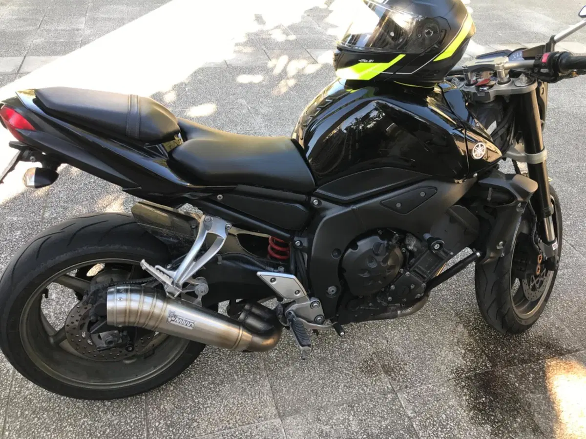 Yamaha FZ1 (2006 - 16) (7)