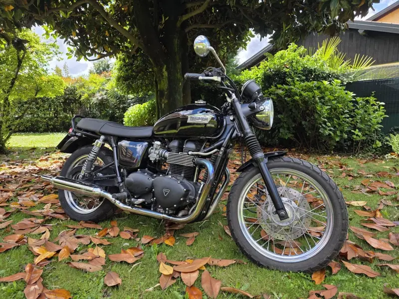 Triumph Bonneville (2007 - 16)