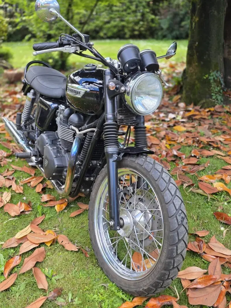 Triumph Bonneville (2007 - 16) (2)