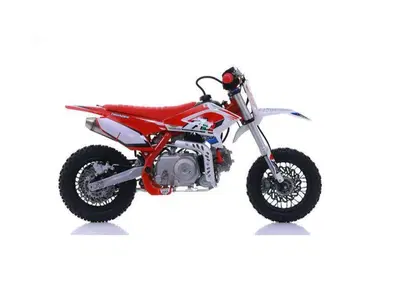  Altre moto o tipologie Pitbike nuova