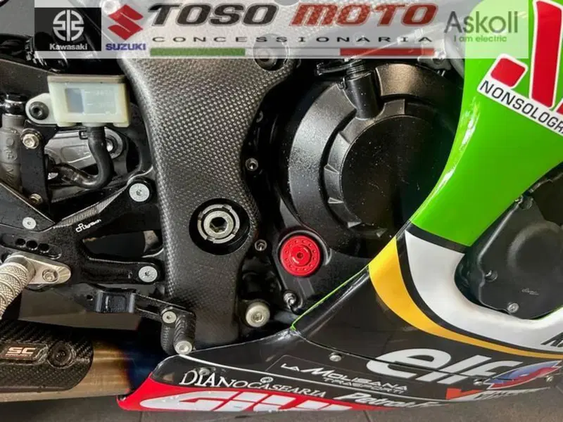 Kawasaki Ninja 1000 ZX-10R Performance (2021 - 24) (12)