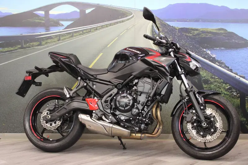 Kawasaki Z 650 (2021 - 24) (5)