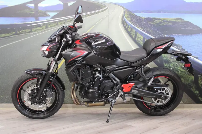 Kawasaki Z 650 (2021 - 24) (7)