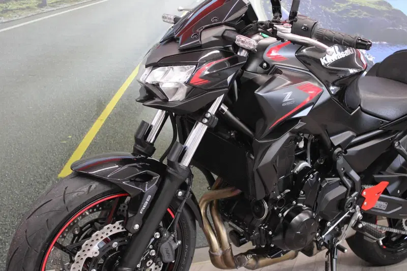Kawasaki Z 650 (2021 - 24) (8)
