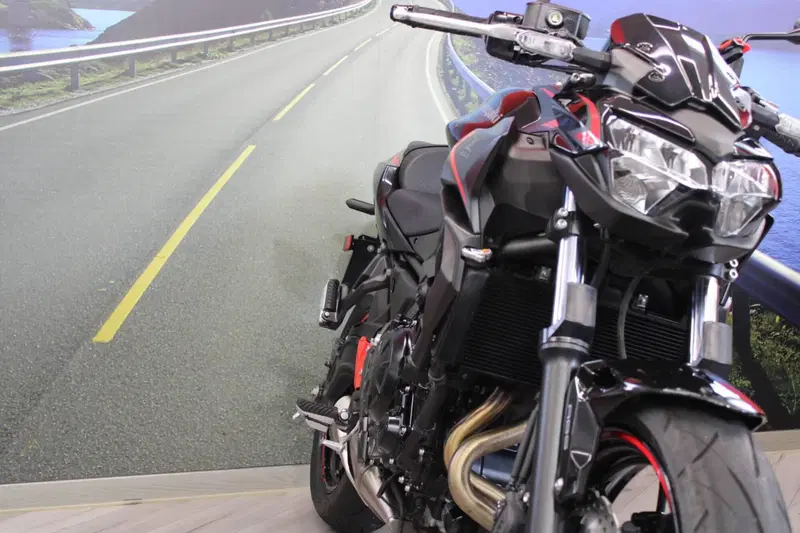 Kawasaki Z 650 (2021 - 24) (10)