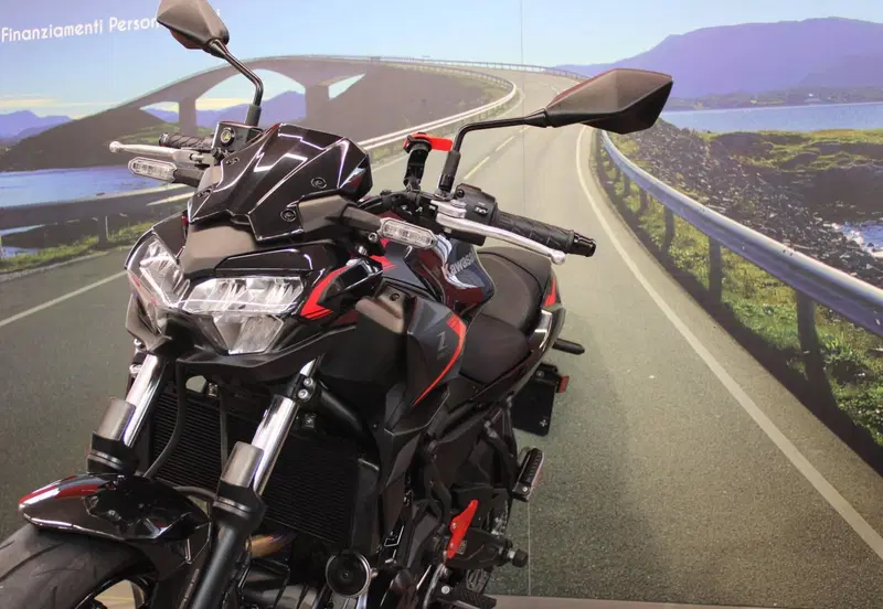 Kawasaki Z 650 (2021 - 24) (11)
