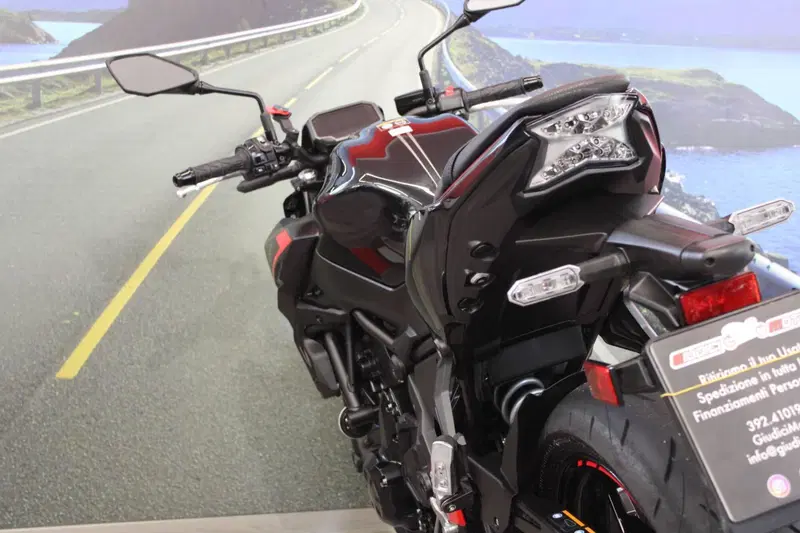 Kawasaki Z 650 (2021 - 24) (17)