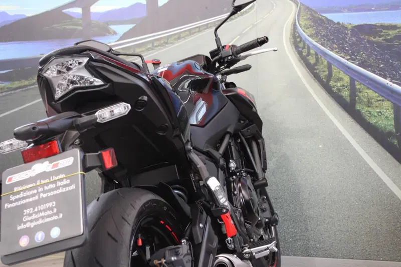 Kawasaki Z 650 (2021 - 24) (18)
